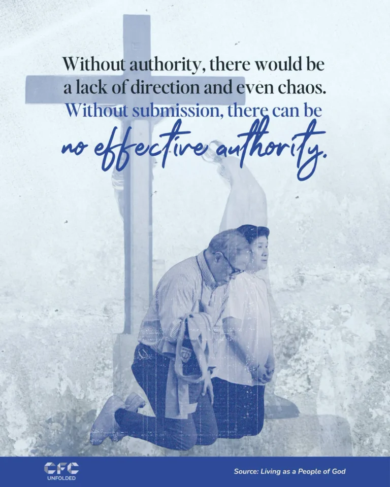 Unfolded - Authority